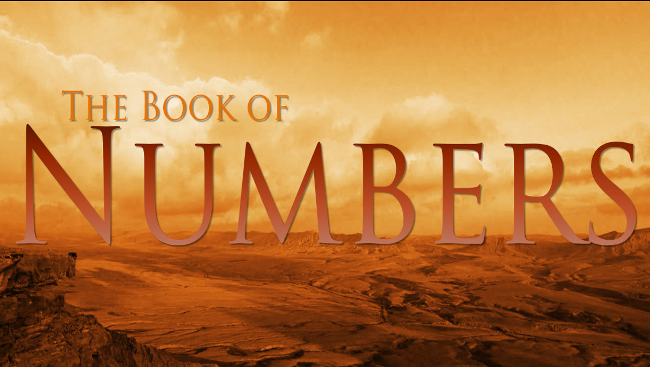 WEDNESDAY NIGHT BIBLE CLASS